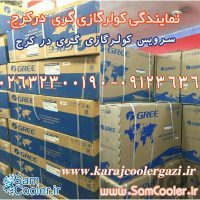 سرویس کولر گازی گری